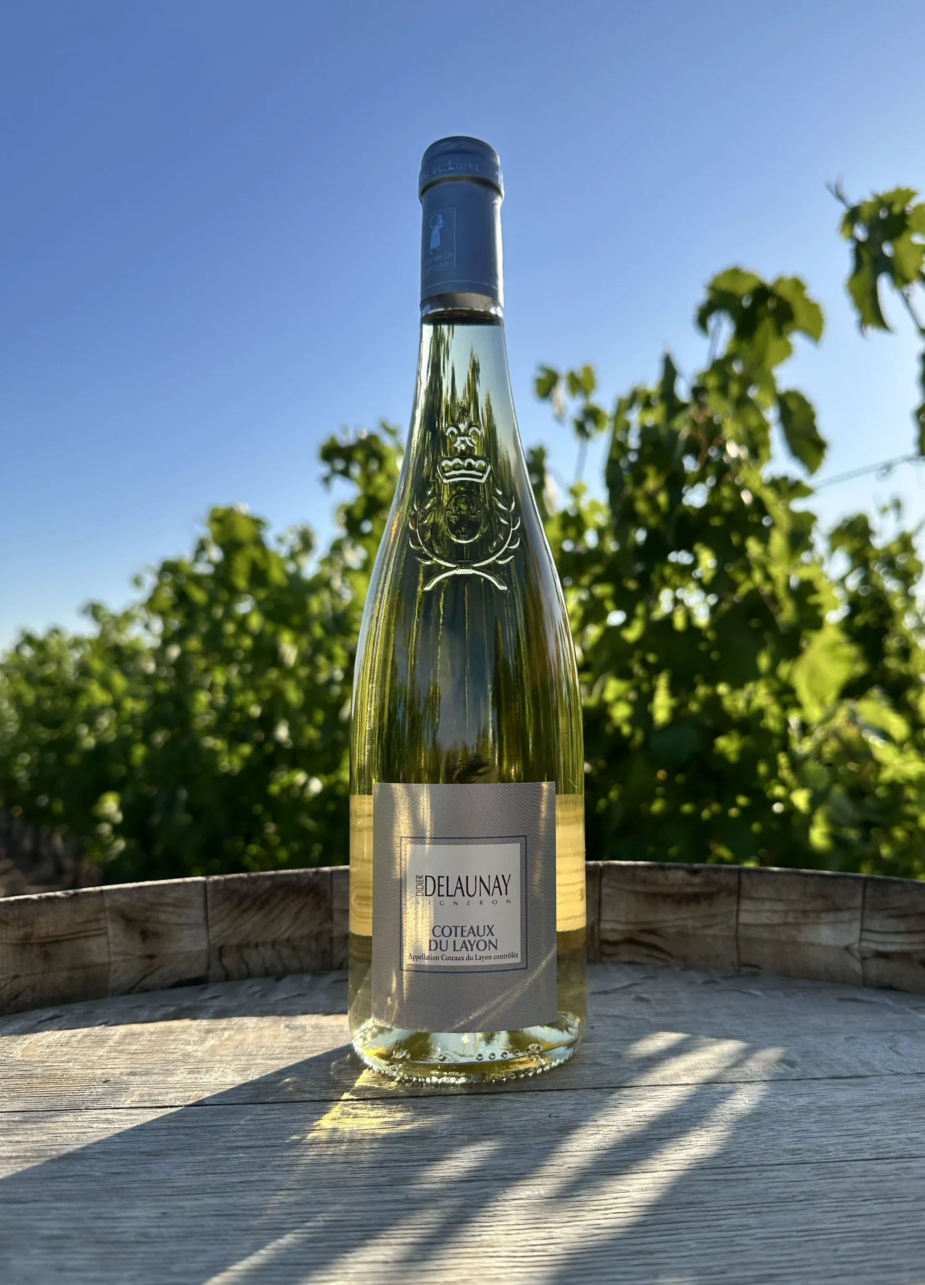 Coteaux du Layon - Vin moelleux aux arômes d'abricot du domaine Didier Delaunay