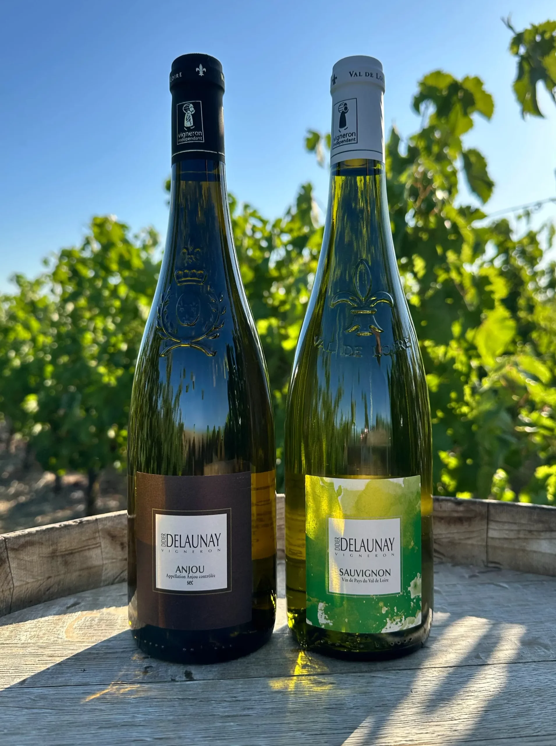 Vins Blancs - Domaine Didier DELAUNAY
