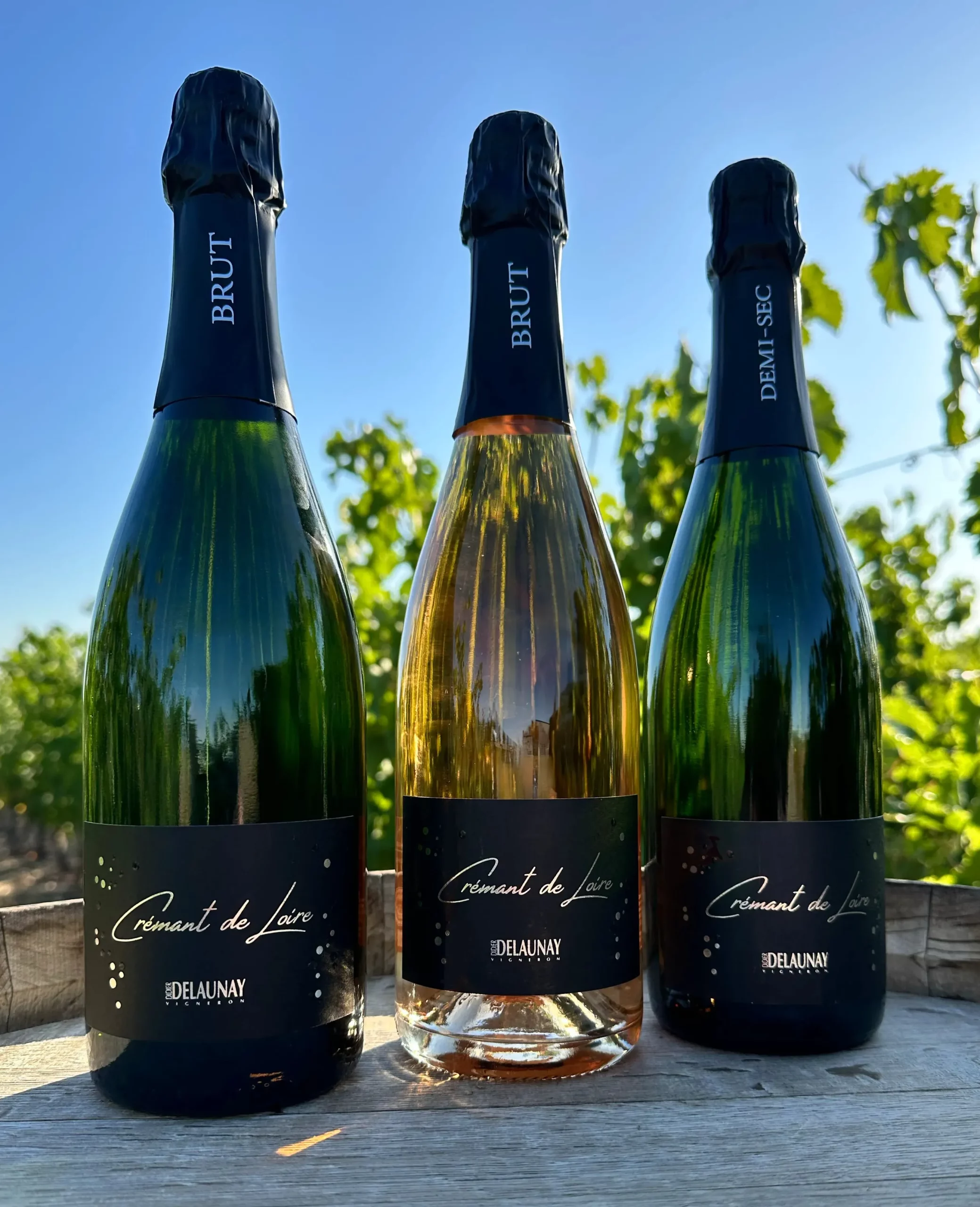 Crémants de Loire - Effervescents élégants du domaine Didier Delaunay