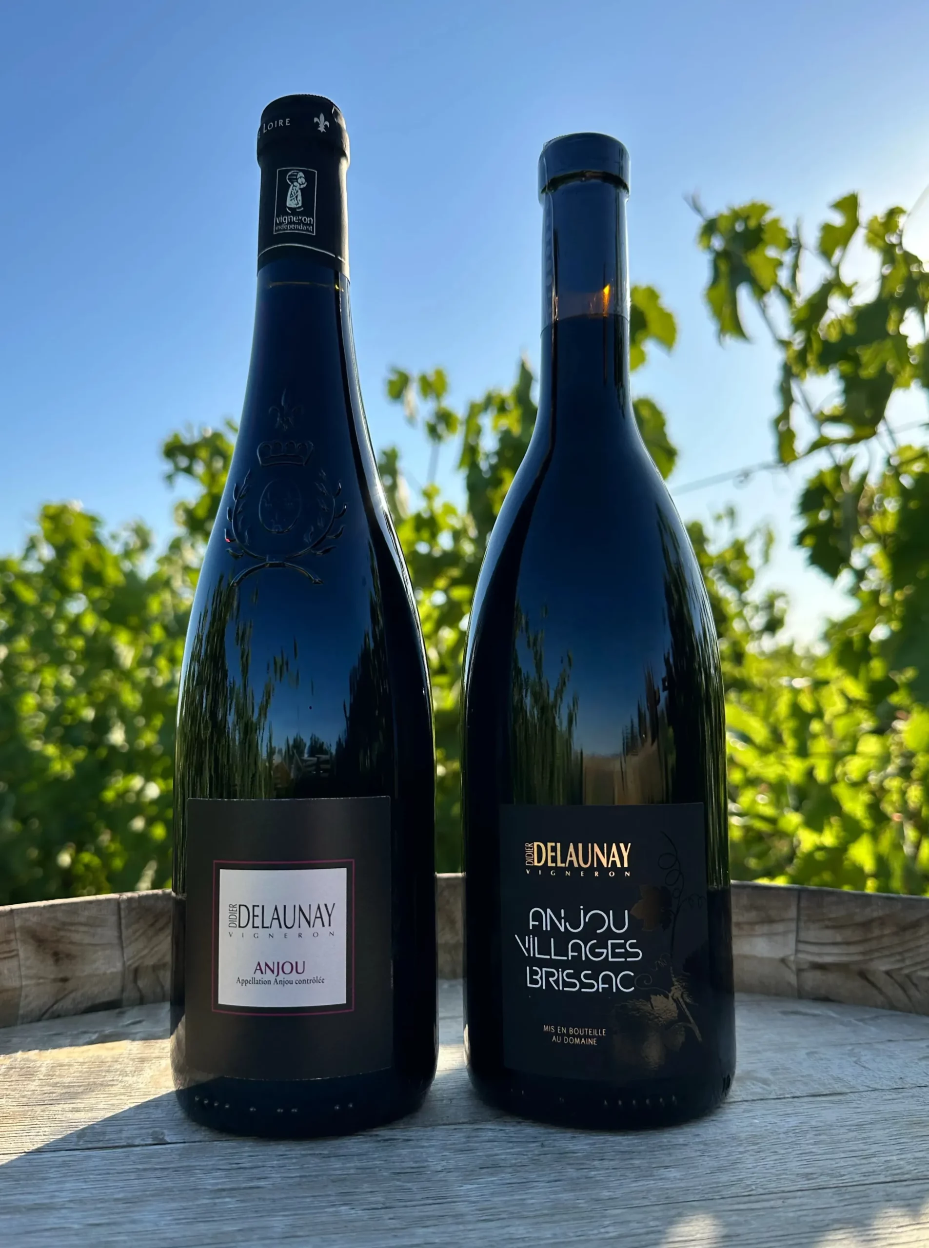 Vins Rouges - Domaine Didier DELAUNAY