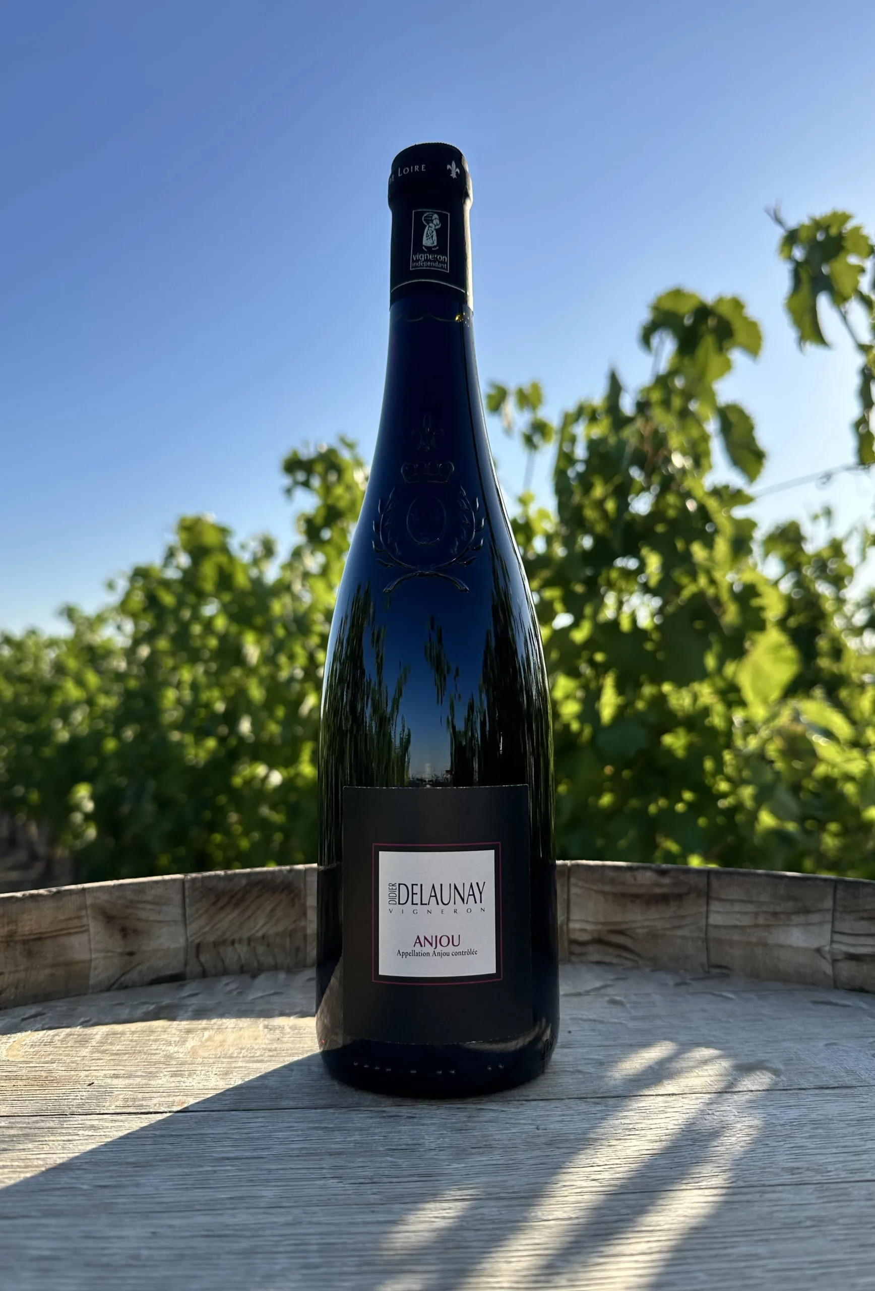 Bouteille d'Anjou rouge - Vin rouge souple et rond du domaine Didier Delaunay devant des vignes ensoleillées.
