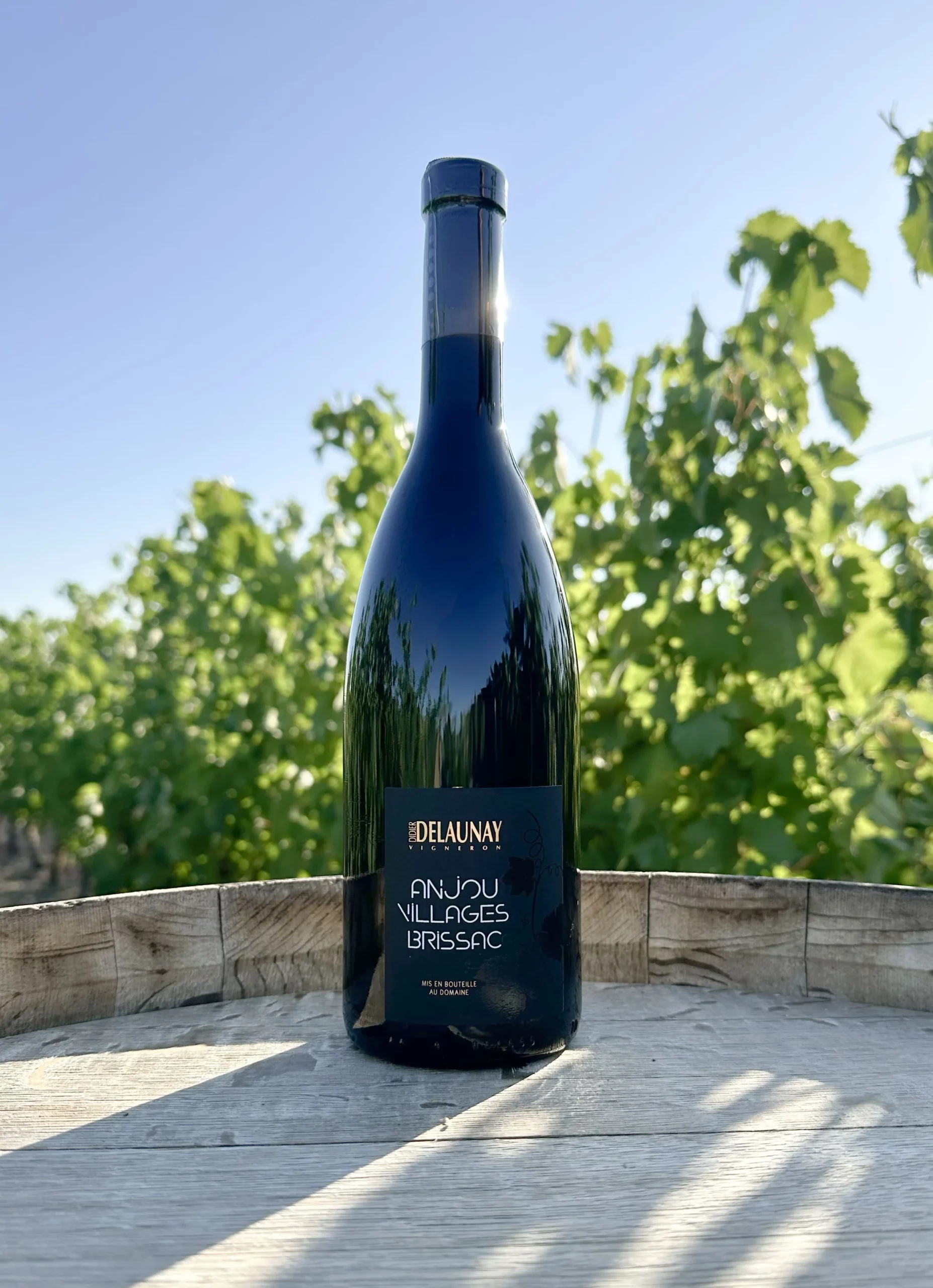 Bouteille Anjou Villages Brissac - Vin rouge structuré du domaine Didier Delaunay devant des vignes ensoleillées
