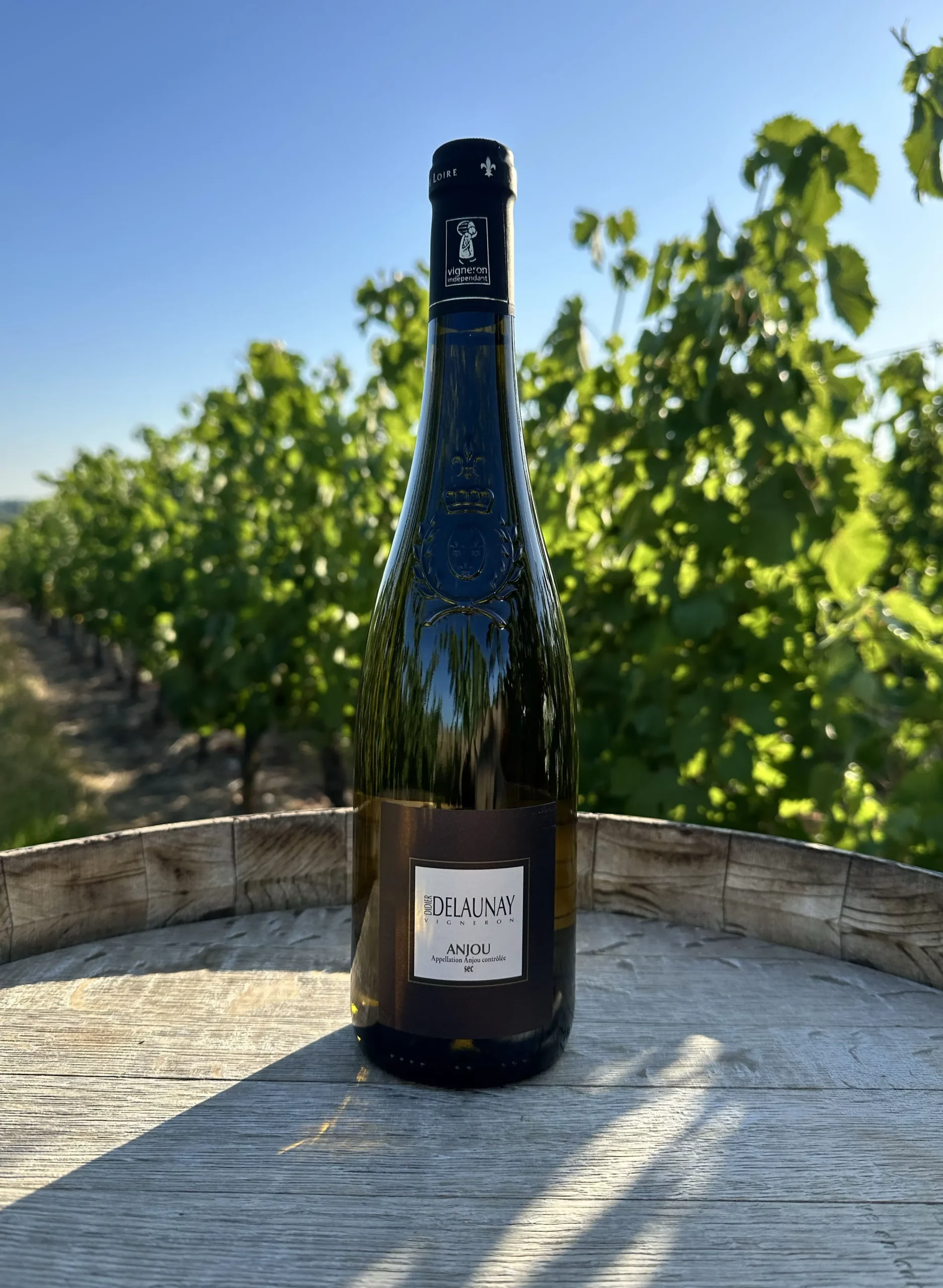Anjou blanc sec - Vin blanc minéral et élégant du domaine Didier Delaunay, bouteille présentée sur un tonneau devant des vignes ensoleillées.