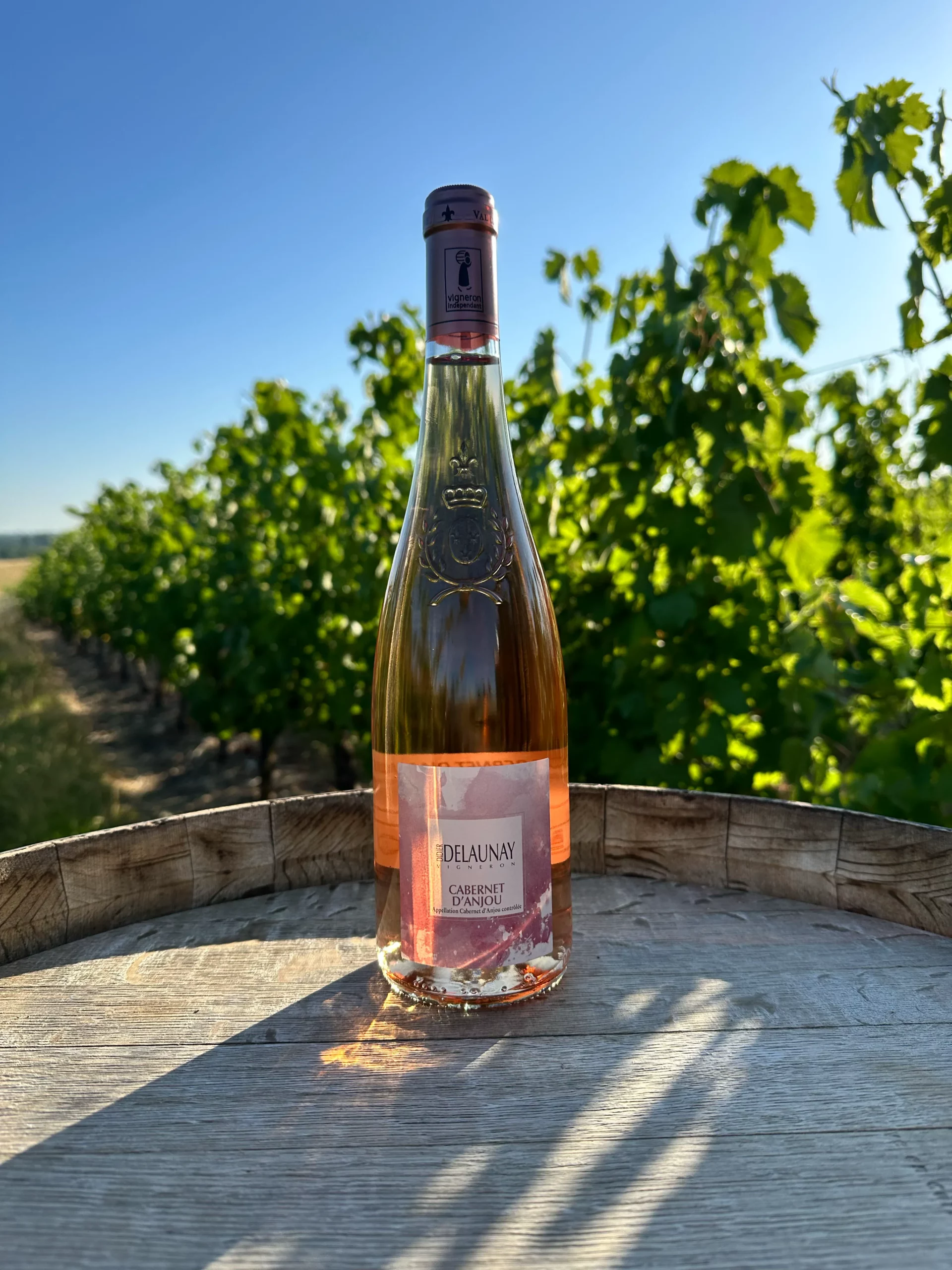 Cabernet d'Anjou - Rosé demi-sec fruité du domaine Didier Delaunay