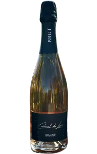 Crémant de Loire blanc - Effervescent élégant du domaine Didier Delaunay