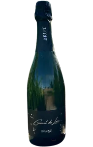Crémant de Loire - Effervescent traditionnel du domaine Didier Delaunay