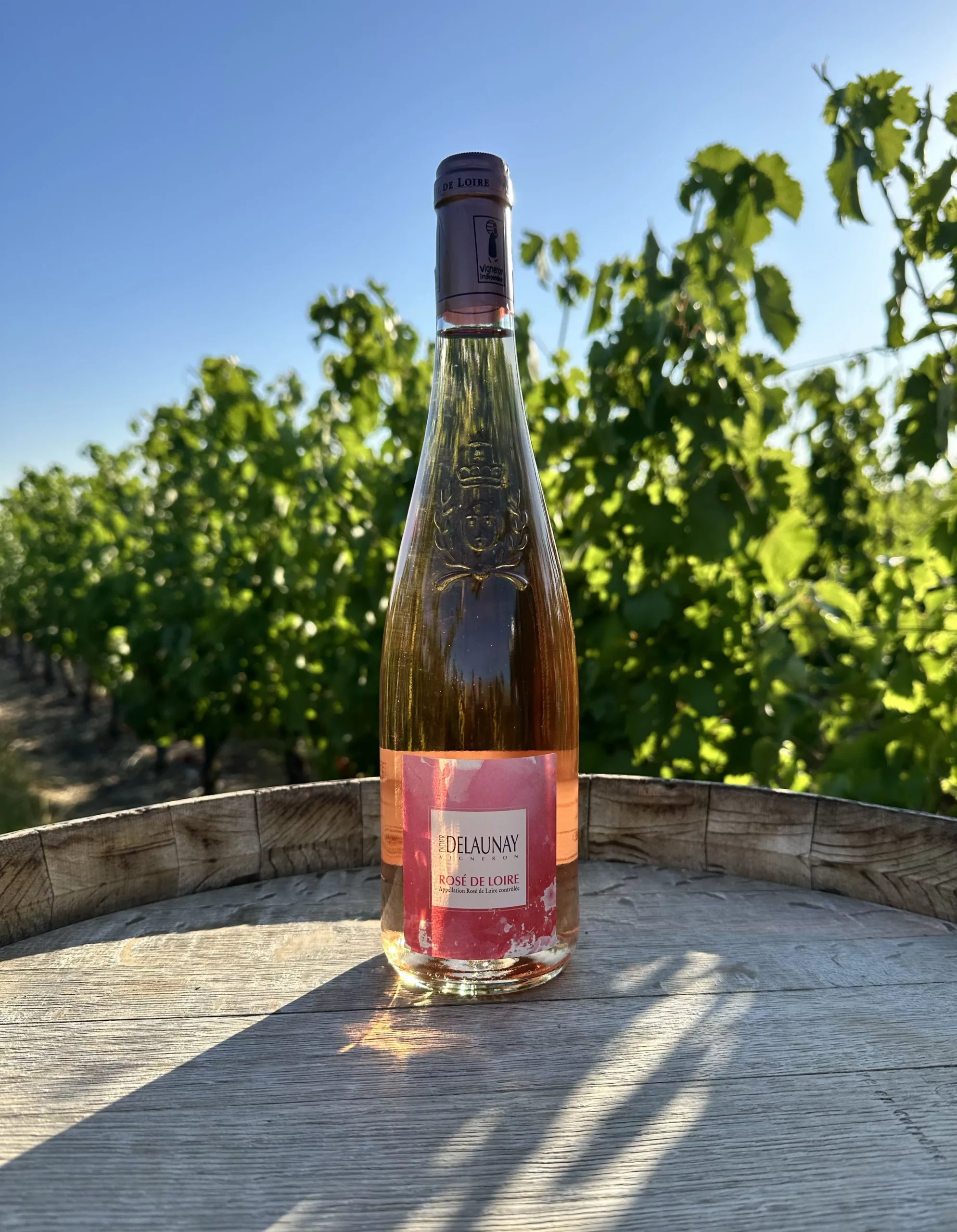 Rosé de Loire - Rosé sec fruité et flatteur du domaine Didier Delaunay