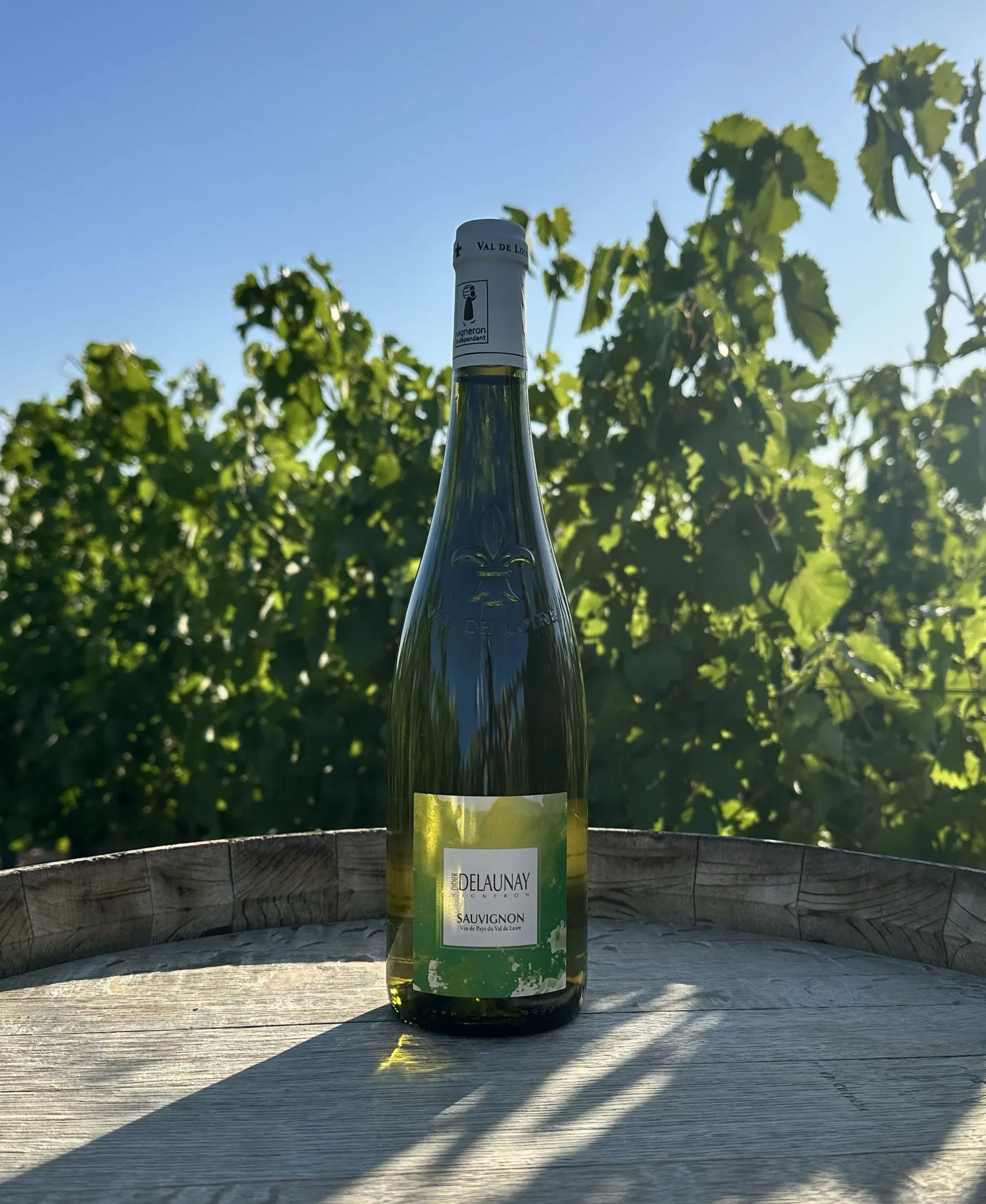 Sauvignon - Vin blanc sec aromatique aux notes exotiques du domaine Didier Delaunay