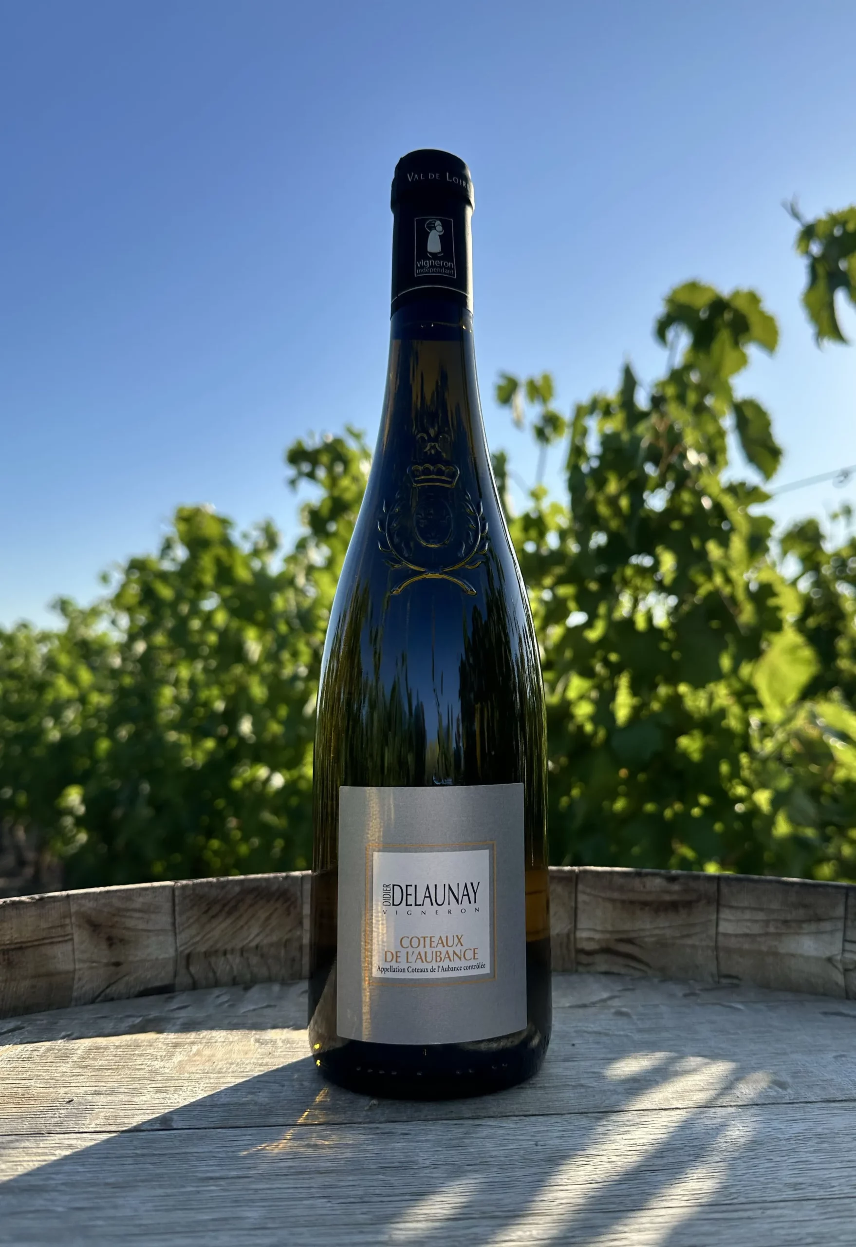 Coteaux de l'Aubance - Vin moelleux gourmand du domaine Didier Delaunay