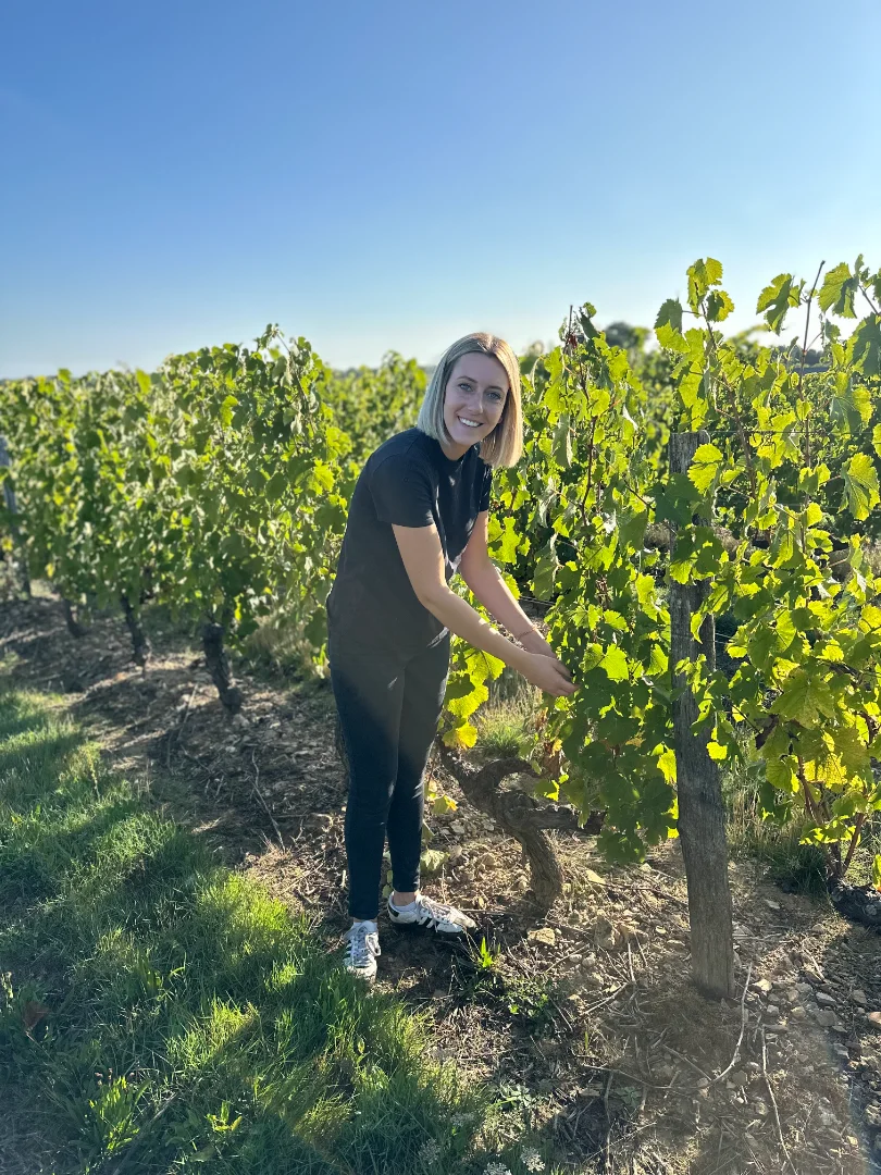 Marine dans le vignoble angevin du domaine Didier Delaunay en Anjou, ensoleillé pendant les vendanges.